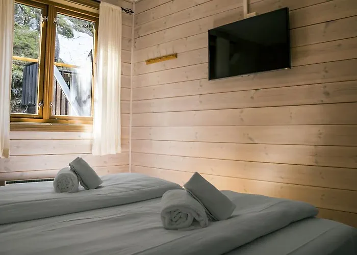 Skarsnuten Хемседал