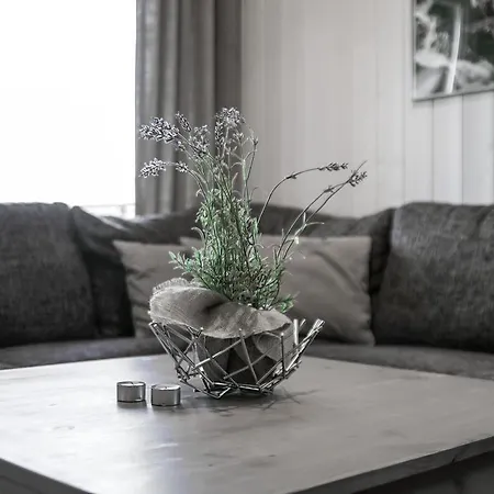 Apartament Skarsnuten *